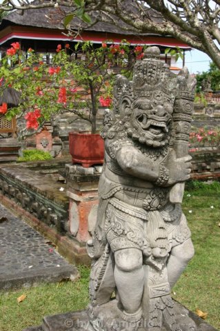 Java/Bali